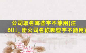 公司取名哪些字不能用(注 🌸 册公司名称哪些字不能用)